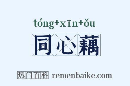 同心藕是什么意思的图片